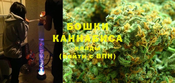 прущие грибы Магадан