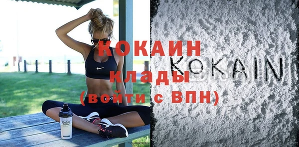 прущие грибы Магадан