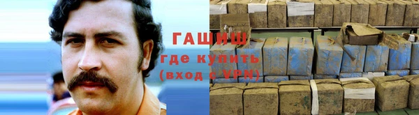 прущие грибы Магадан