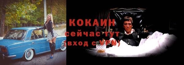 прущие грибы Магадан