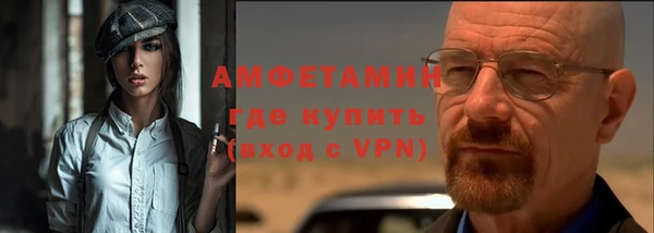 прущие грибы Магадан