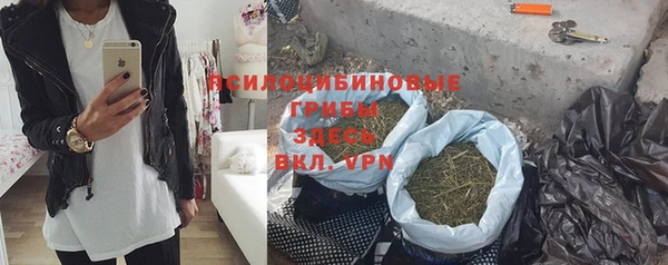 прущие грибы Магадан