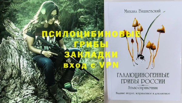 круглые Магас