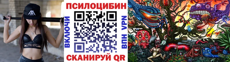 Галлюциногенные грибы мицелий  Шилка 