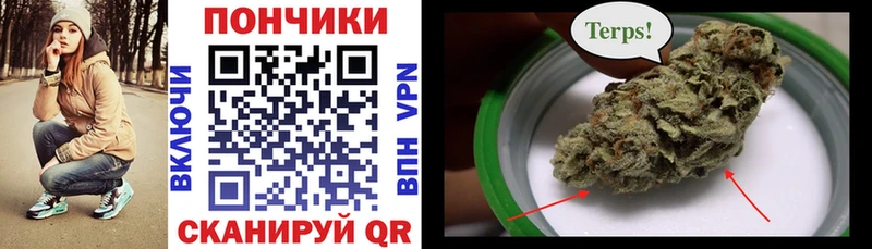 где купить наркоту Шилка Конопля индика